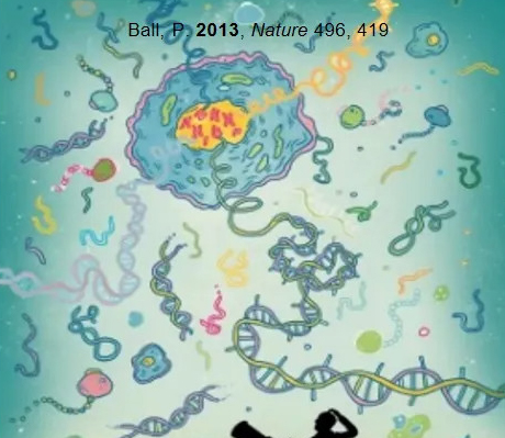Glycobiology——The “Dark Matter”of Life Sciences