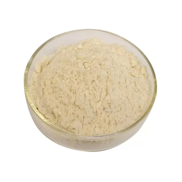 N 4 Aminobenzoyl L Glutamic Acid Folic Acid Cas 4271-30-1