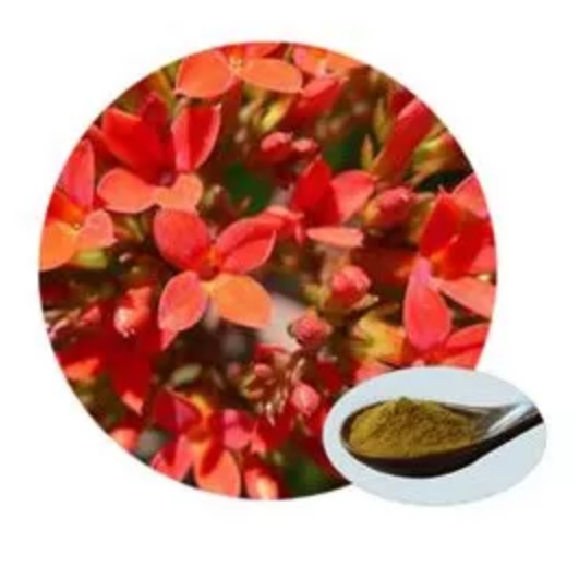 Salidroside Nutritional Supplement Natural Plant Extract Derivatives  CAS 10338-51-9